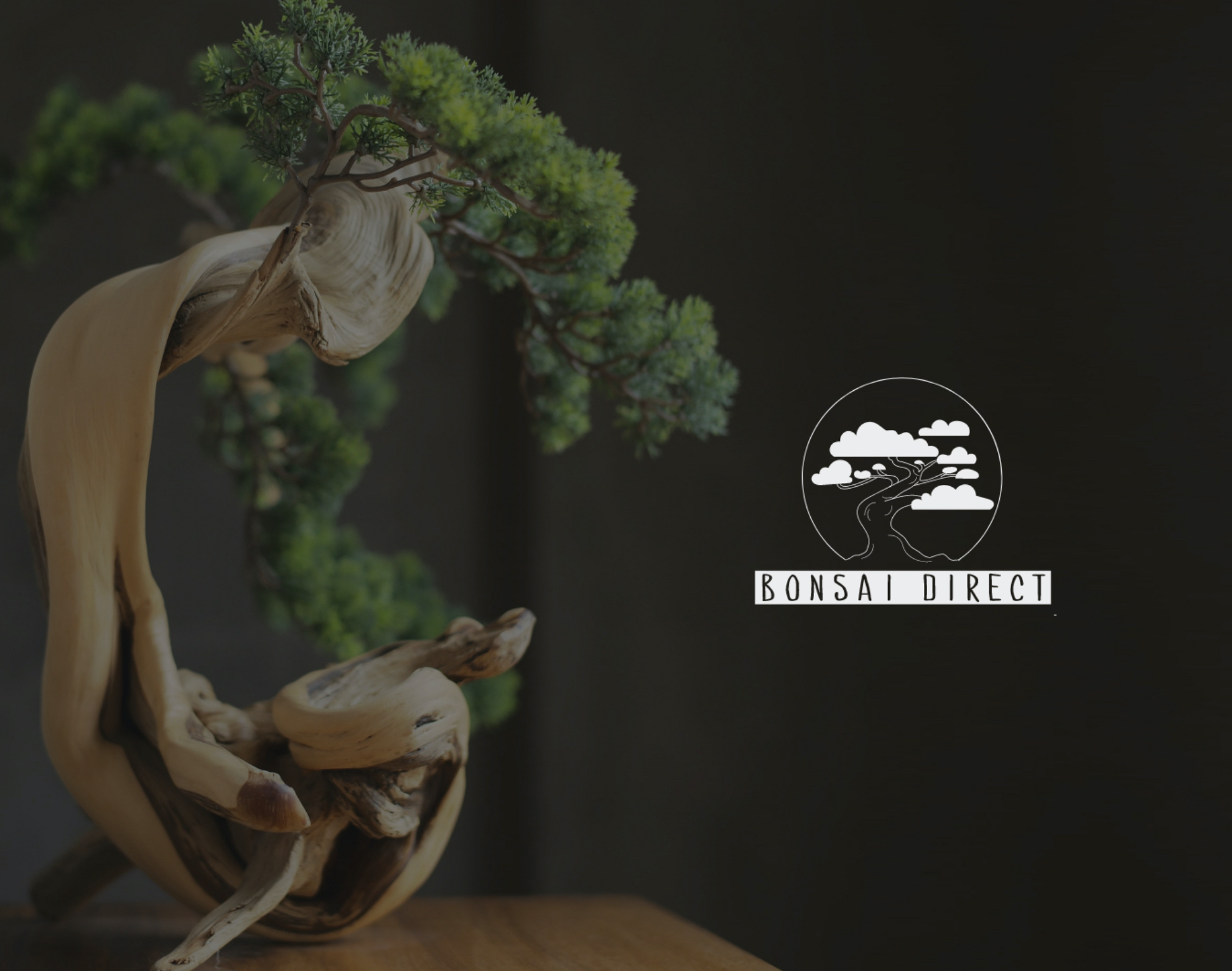 bonsai-design